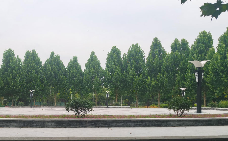 景观灯，公园景观灯.jpg